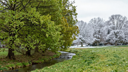 meadow winter scene renewing into spring generated with Z-Image